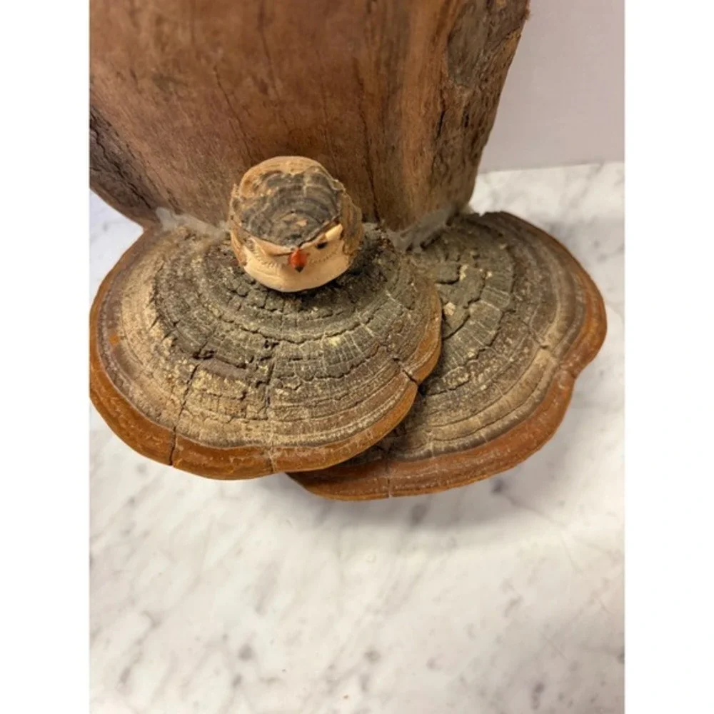 Driftwood with adorable‎ baby owl and mushrooms 14